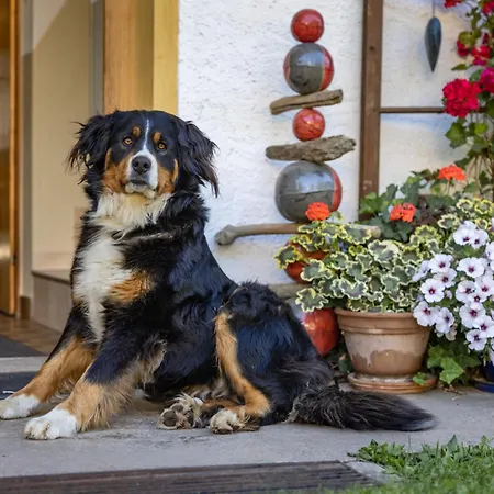 维尔戈有机农场公寓
