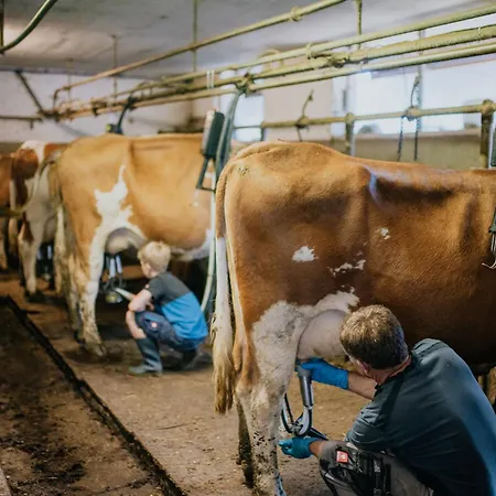 Bio-bergbauernhof Weger * Dellach (Hermagor)