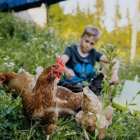 Lägenhet Bio-bergbauernhof Weger *