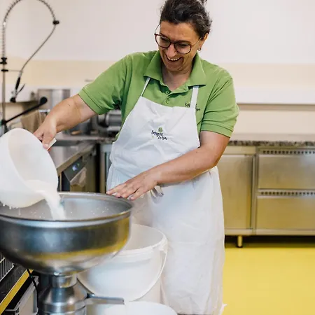 Bio-bergbauernhof Weger Деллах