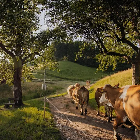维尔戈有机农场公寓 公寓 *