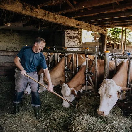 公寓 维尔戈有机农场公寓