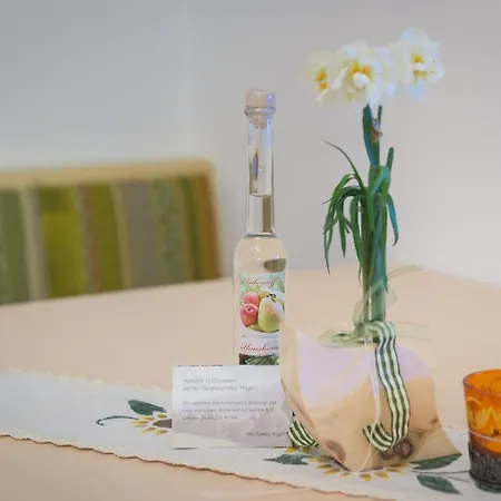 公寓 维尔戈有机农场公寓 *