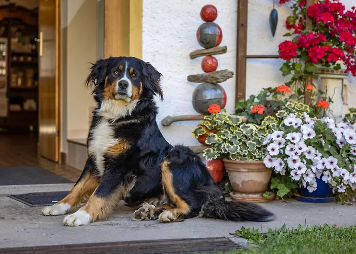 维尔戈有机农场公寓
