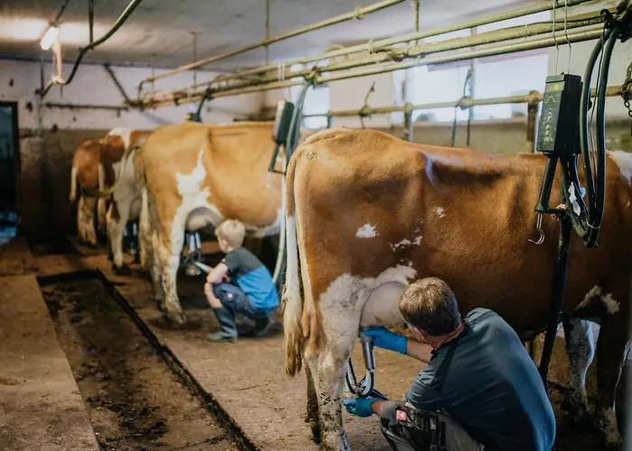 维尔戈有机农场公寓 * 德拉什