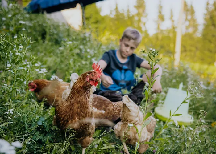 Apartamento Bio-bergbauernhof Weger *