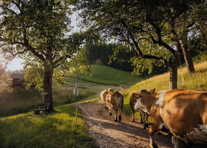 维尔戈有机农场公寓 公寓 *