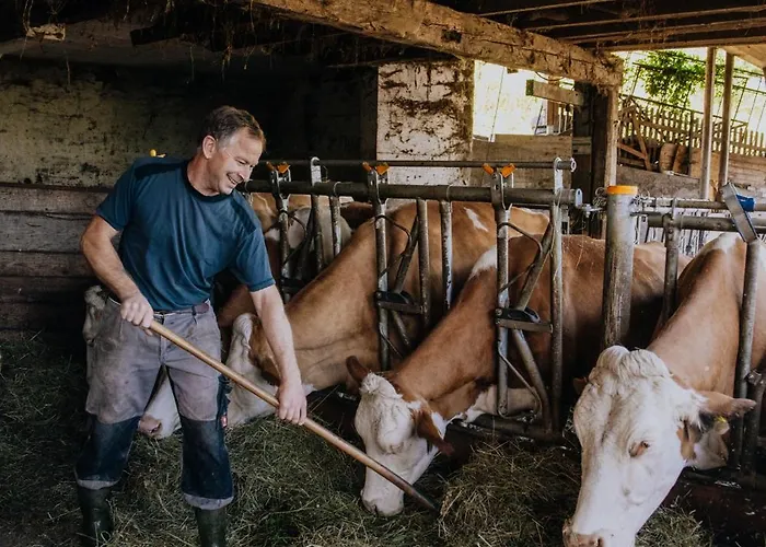 公寓 维尔戈有机农场公寓